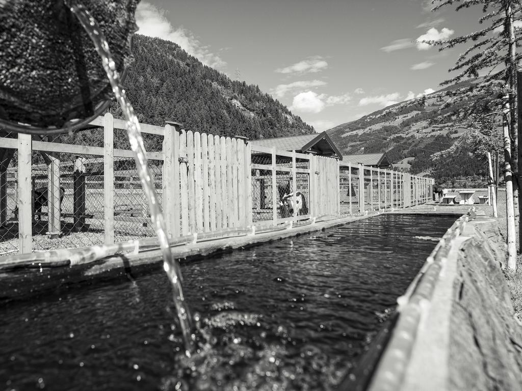 Apartment Sonnenau Zell am Ziller Esterno foto